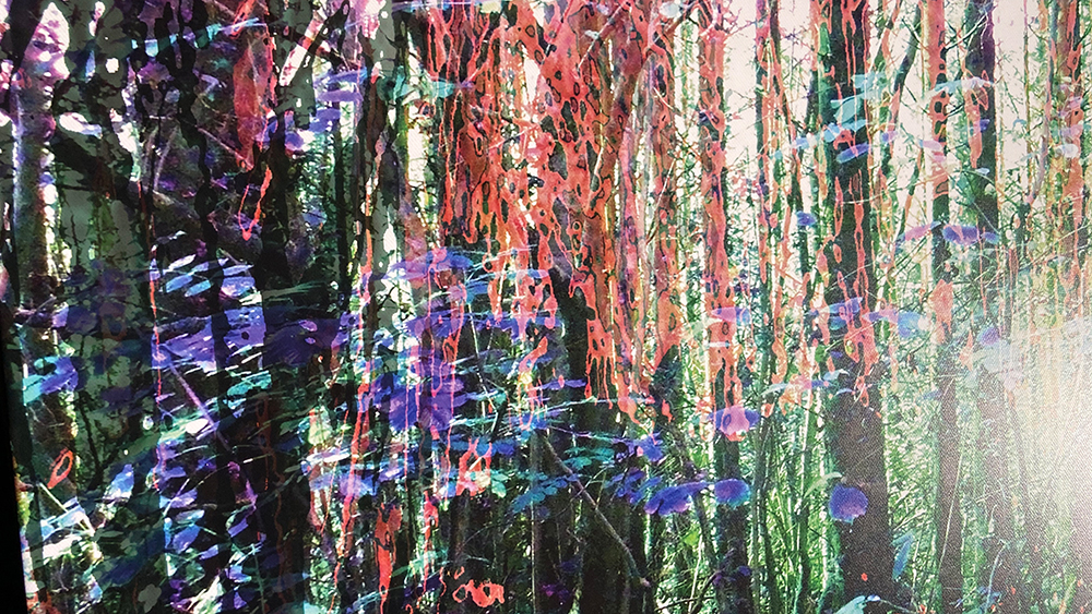 „seems like trees “ – Installation – Parkgelände Museum Barendorf 2020