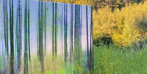 „seems like trees “ – Installation – Parkgelände Museum Barendorf 2020