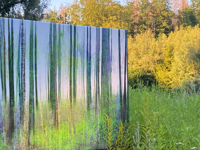 „seems like trees “ – Installation – Parkgelände Museum Barendorf 2020