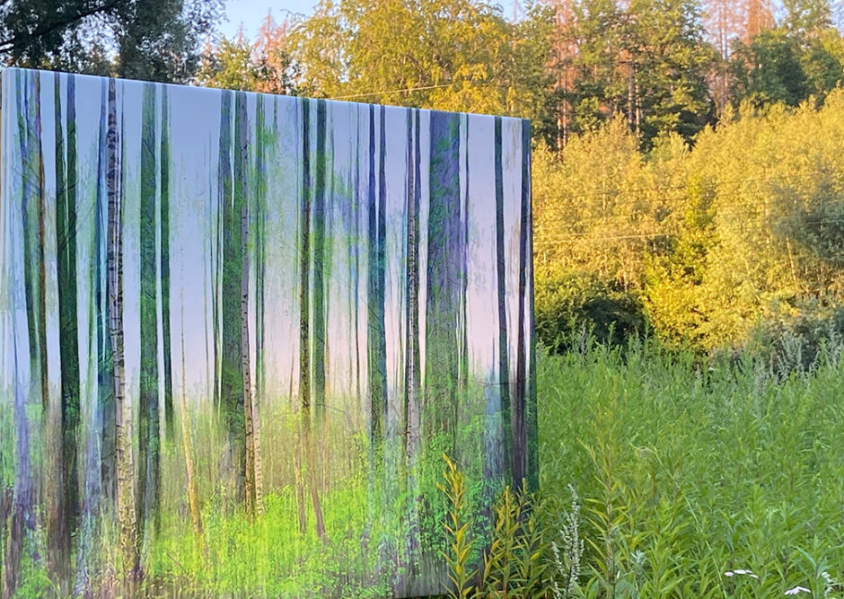 „seems like trees “ – Installation – Parkgelände Museum Barendorf 2020